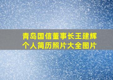 青岛国信董事长王建辉个人简历照片大全图片