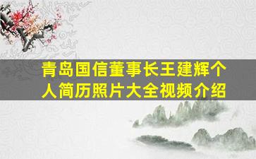 青岛国信董事长王建辉个人简历照片大全视频介绍