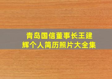 青岛国信董事长王建辉个人简历照片大全集