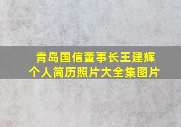 青岛国信董事长王建辉个人简历照片大全集图片