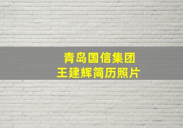 青岛国信集团王建辉简历照片