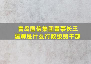 青岛国信集团董事长王建辉是什么行政级别干部