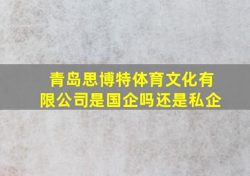 青岛思博特体育文化有限公司是国企吗还是私企