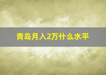 青岛月入2万什么水平