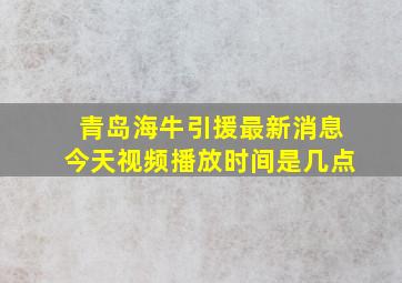 青岛海牛引援最新消息今天视频播放时间是几点