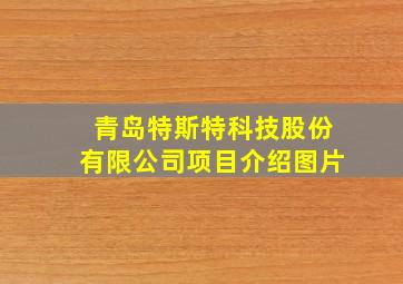 青岛特斯特科技股份有限公司项目介绍图片