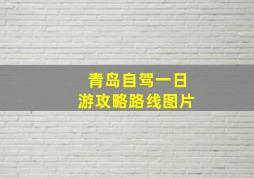 青岛自驾一日游攻略路线图片