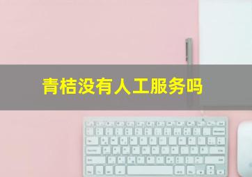 青桔没有人工服务吗