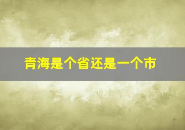 青海是个省还是一个市