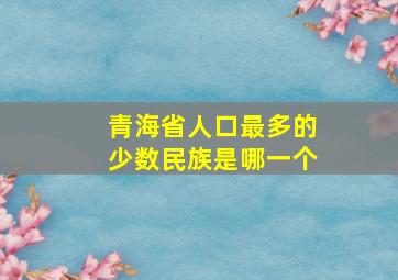 青海省人口最多的少数民族是哪一个