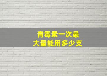 青霉素一次最大量能用多少支