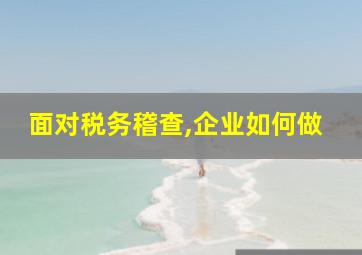 面对税务稽查,企业如何做