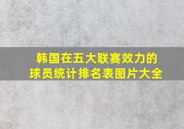 韩国在五大联赛效力的球员统计排名表图片大全