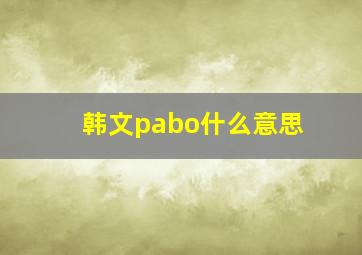 韩文pabo什么意思