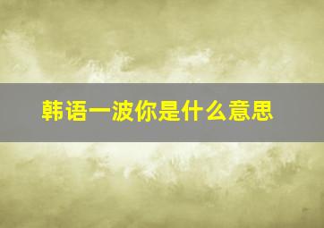 韩语一波你是什么意思