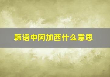 韩语中阿加西什么意思