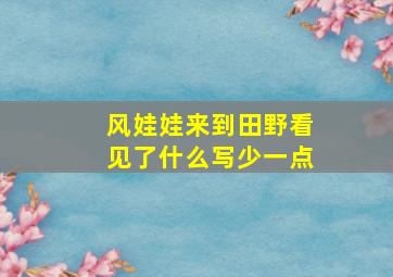 风娃娃来到田野看见了什么写少一点