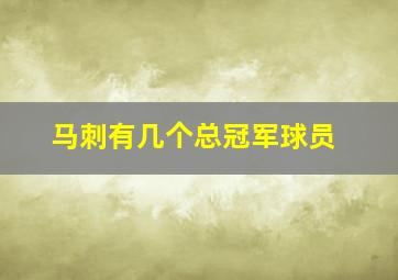 马刺有几个总冠军球员