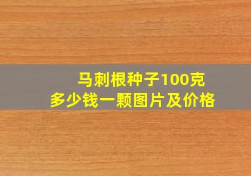 马刺根种子100克多少钱一颗图片及价格