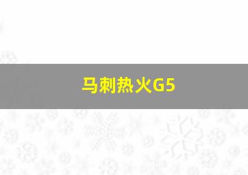 马刺热火G5