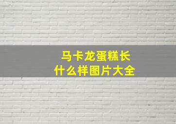 马卡龙蛋糕长什么样图片大全