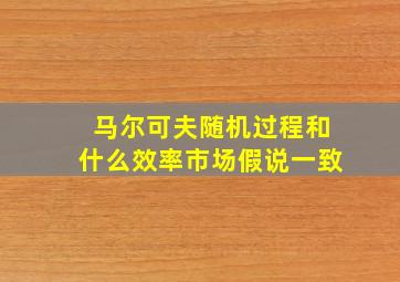 马尔可夫随机过程和什么效率市场假说一致