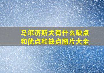 马尔济斯犬有什么缺点和优点和缺点图片大全