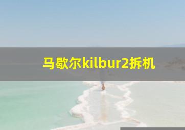 马歇尔kilbur2拆机