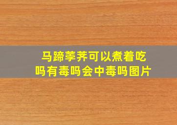 马蹄荸荠可以煮着吃吗有毒吗会中毒吗图片