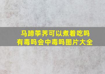 马蹄荸荠可以煮着吃吗有毒吗会中毒吗图片大全