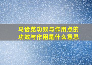 马齿苋功效与作用点的功效与作用是什么意思