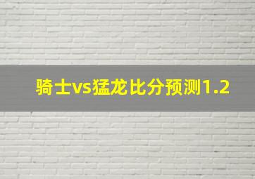 骑士vs猛龙比分预测1.2