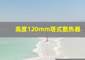 高度120mm塔式散热器