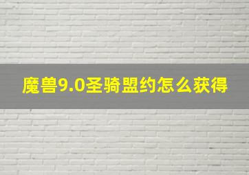 魔兽9.0圣骑盟约怎么获得