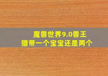 魔兽世界9.0兽王猎带一个宝宝还是两个