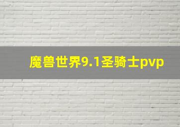 魔兽世界9.1圣骑士pvp