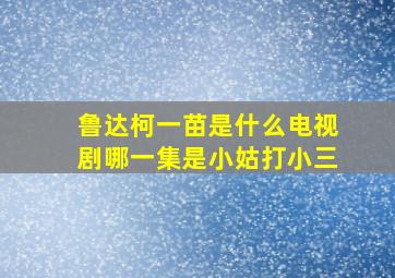 鲁达柯一苗是什么电视剧哪一集是小姑打小三