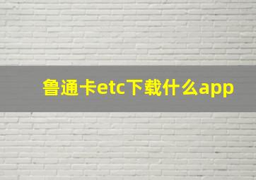 鲁通卡etc下载什么app