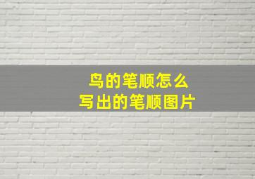 鸟的笔顺怎么写出的笔顺图片