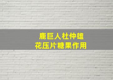 鹿巨人杜仲雄花压片糖果作用