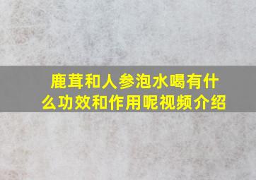 鹿茸和人参泡水喝有什么功效和作用呢视频介绍