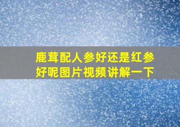 鹿茸配人参好还是红参好呢图片视频讲解一下