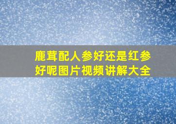 鹿茸配人参好还是红参好呢图片视频讲解大全