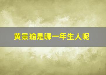 黄景瑜是哪一年生人呢