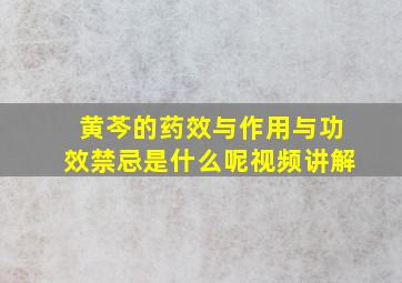 黄芩的药效与作用与功效禁忌是什么呢视频讲解