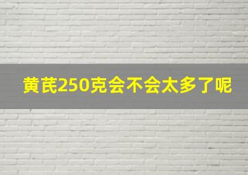 黄芪250克会不会太多了呢