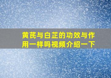 黄芪与白芷的功效与作用一样吗视频介绍一下