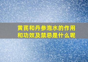 黄芪和丹参泡水的作用和功效及禁忌是什么呢