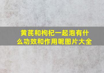 黄芪和枸杞一起泡有什么功效和作用呢图片大全