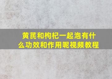 黄芪和枸杞一起泡有什么功效和作用呢视频教程